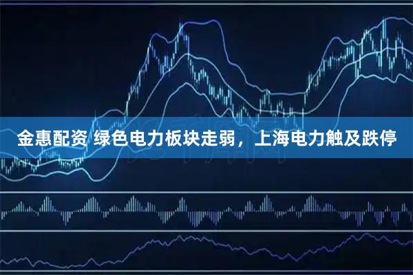 金惠配资 绿色电力板块走弱，上海电力触及跌停