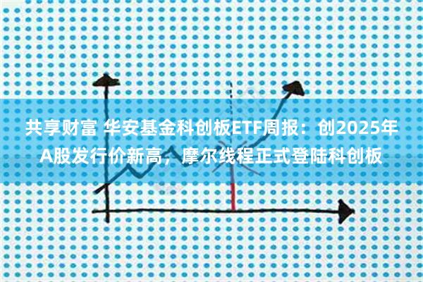 共享财富 华安基金科创板ETF周报：创2025年A股发行价新高，摩尔线程正式登陆科创板