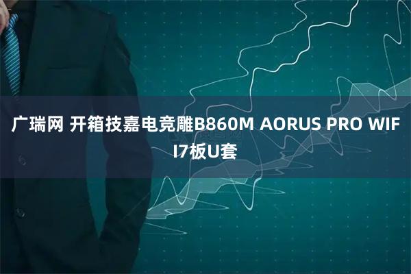 广瑞网 开箱技嘉电竞雕B860M AORUS PRO WIFI7板U套