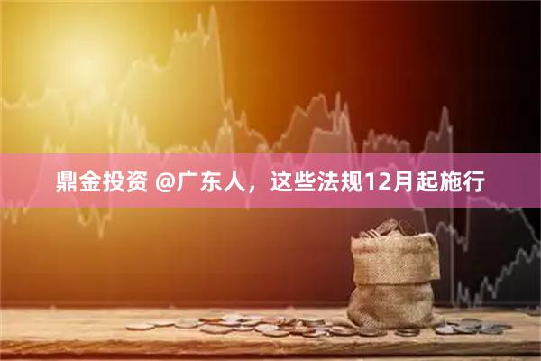 鼎金投资 @广东人，这些法规12月起施行