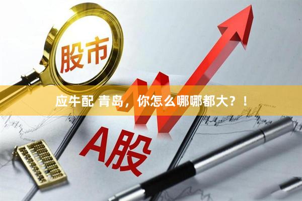 应牛配 青岛，你怎么哪哪都大？！