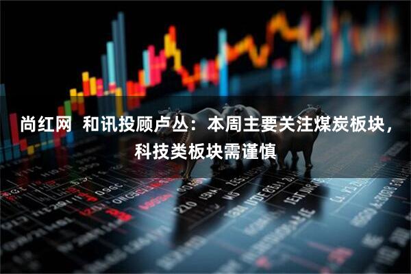 尚红网  和讯投顾卢丛：本周主要关注煤炭板块，科技类板块需谨慎