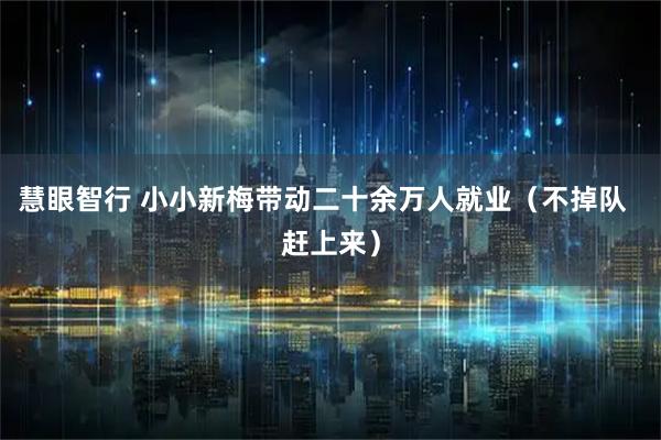 慧眼智行 小小新梅带动二十余万人就业（不掉队  赶上来）