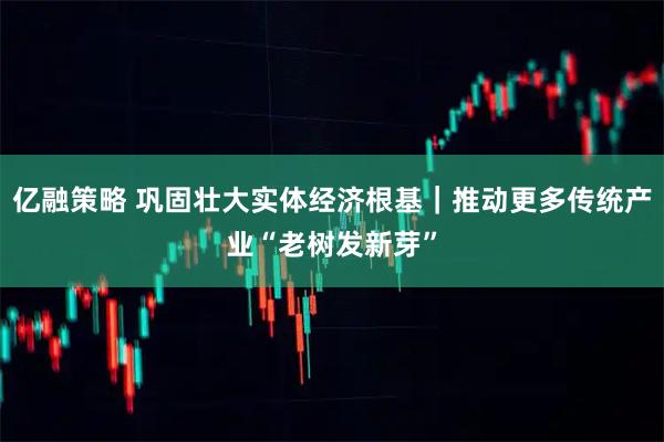 亿融策略 巩固壮大实体经济根基｜推动更多传统产业“老树发新芽”