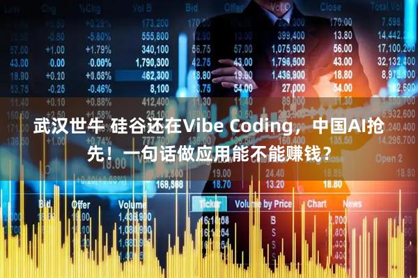 武汉世牛 硅谷还在Vibe Coding，中国AI抢先！一句话做应用能不能赚钱？