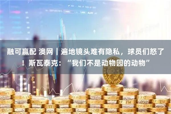 融可赢配 澳网｜遍地镜头难有隐私，球员们怒了！斯瓦泰克：“我们不是动物园的动物”