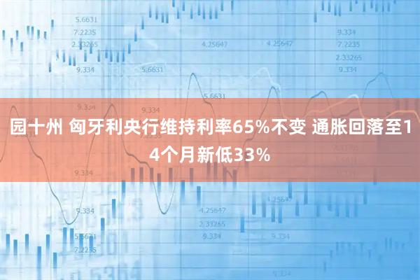 园十州 匈牙利央行维持利率65%不变 通胀回落至14个月新低33%