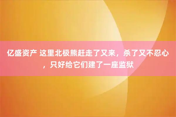 亿盛资产 这里北极熊赶走了又来，杀了又不忍心，只好给它们建了一座监狱
