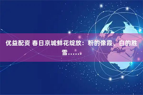 优益配资 春日京城鲜花绽放：粉的像霞、白的胜雪……