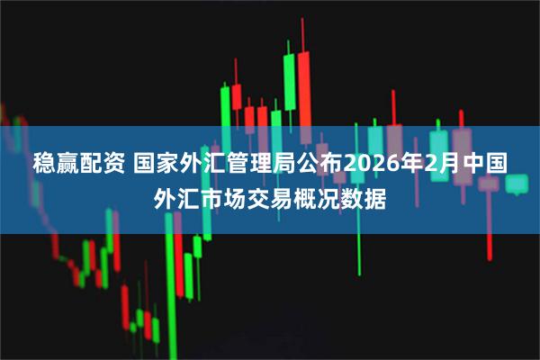 稳赢配资 国家外汇管理局公布2026年2月中国外汇市场交易概况数据