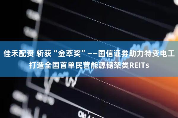 佳禾配资 斩获“金萃奖”——国信证券助力特变电工打造全国首单民营能源储架类REITs